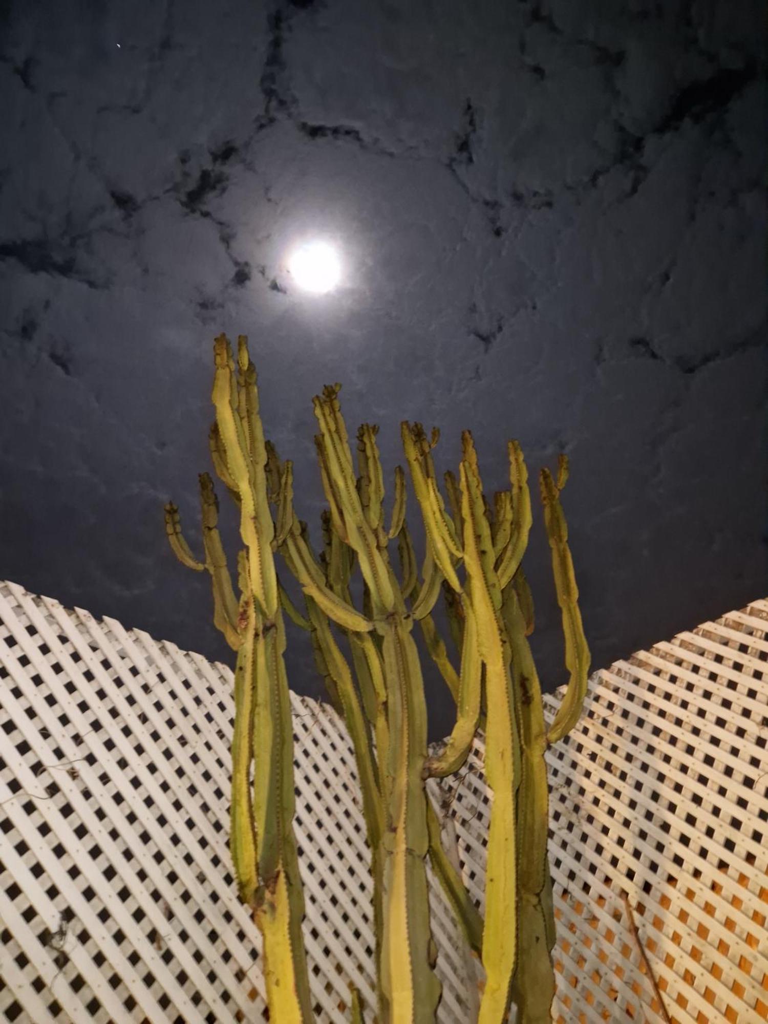 L'Oum Errebia 호텔 아제무르 외부 사진